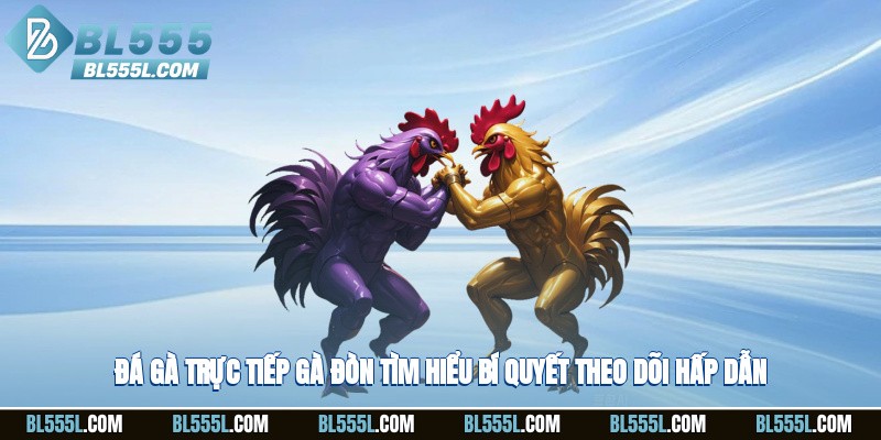Đá Gà Trực Tiếp Gà Đòn